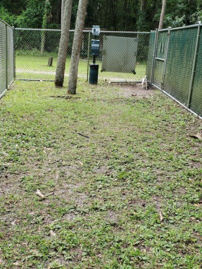 Citrus County Dog Park - Homosassa, FL