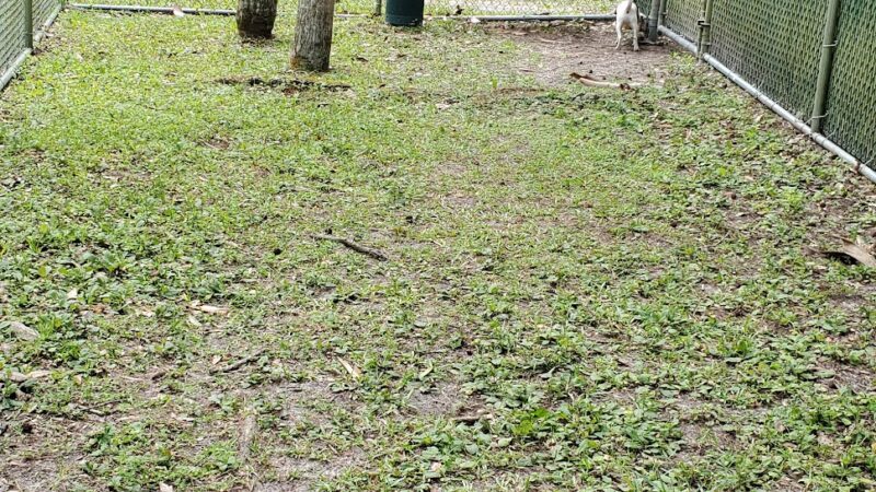 Citrus County Dog Park - Homosassa, FL