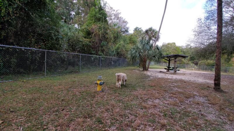 Citrus County Dog Park - Homosassa, FL