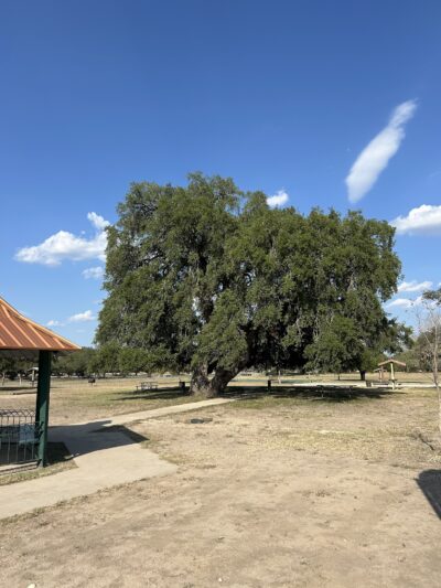 Hondo City Park - Hondo, TX