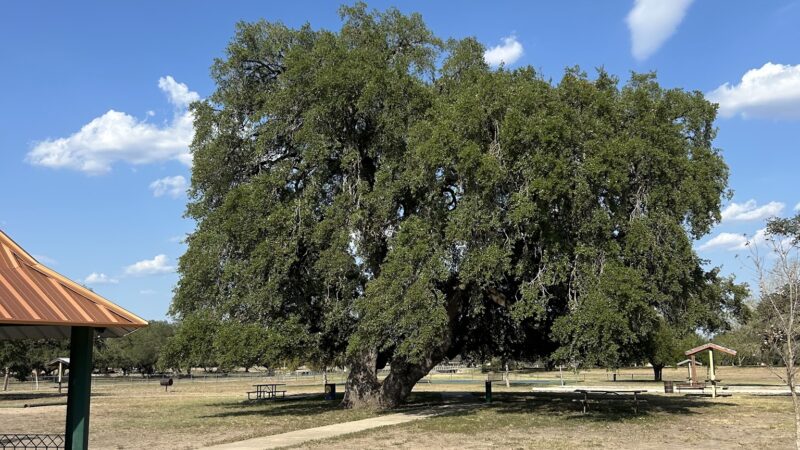 Hondo City Park - Hondo, TX
