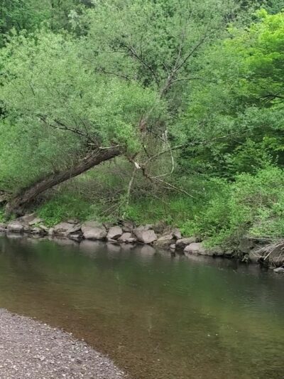 Apple Grove Park - Honesdale, PA