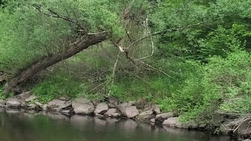 Apple Grove Park - Honesdale, PA