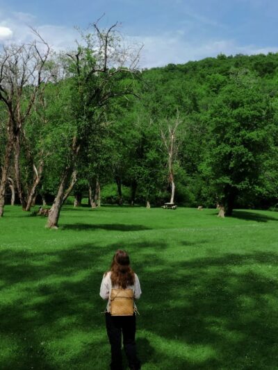 Apple Grove Park - Honesdale, PA