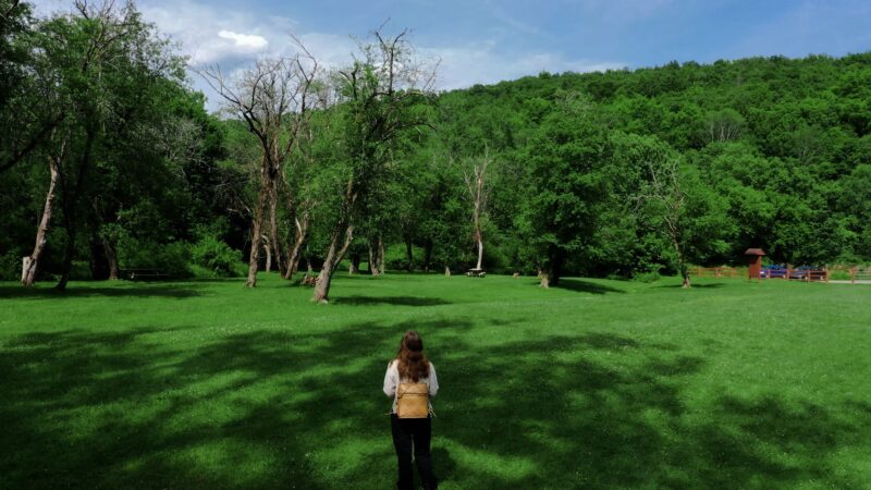 Apple Grove Park - Honesdale, PA