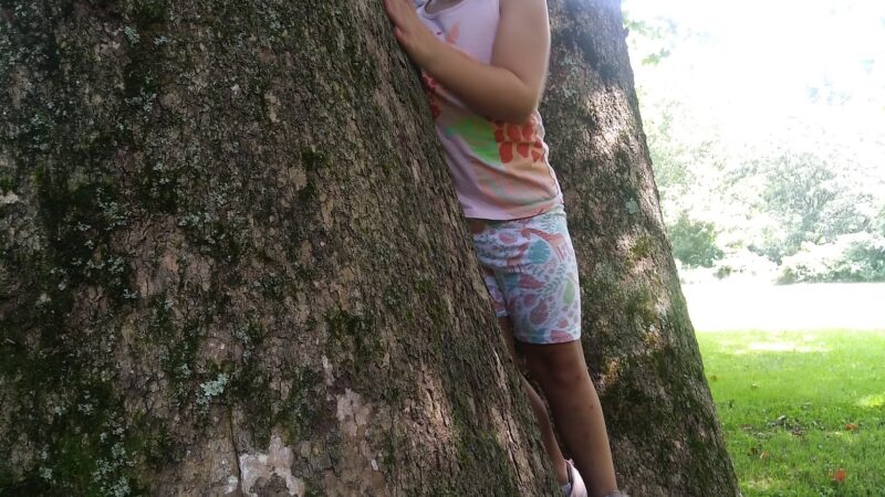 Apple Grove Park - Honesdale, PA