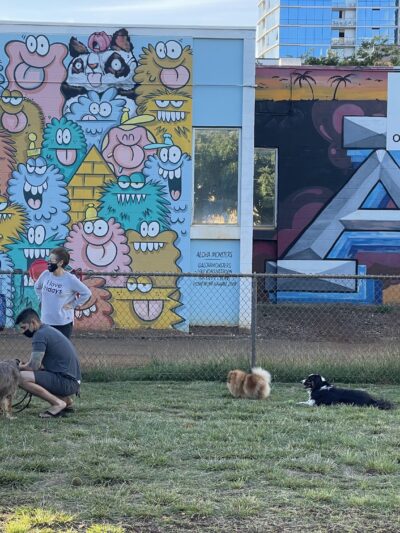 A'ala Bark Park - Honolulu, HI
