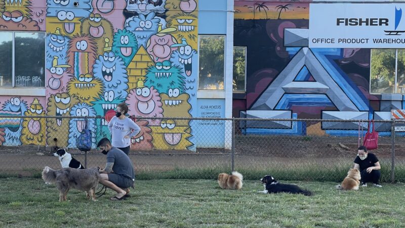 A'ala Bark Park - Honolulu, HI