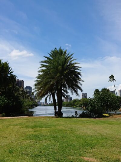 Ala Wai Dog Park - Honolulu, HI