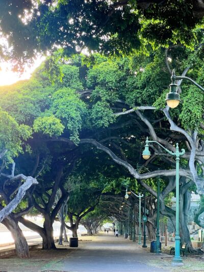 Ala Wai Promenade - Honolulu, HI