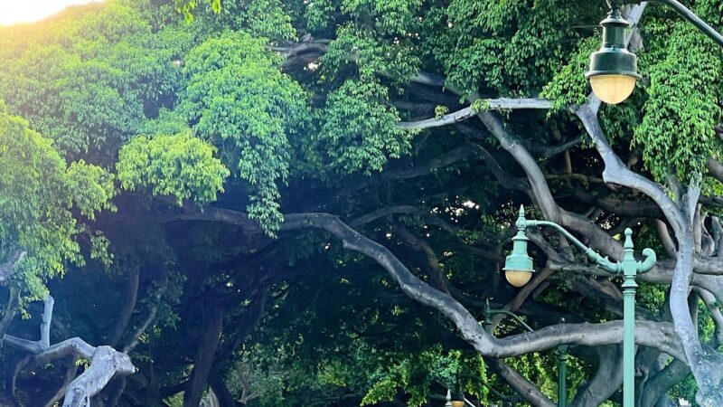 Ala Wai Promenade - Honolulu, HI
