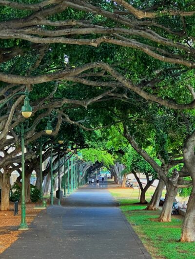 Ala Wai Promenade - Honolulu, HI