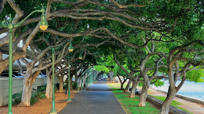 Ala Wai Promenade - Honolulu, HI
