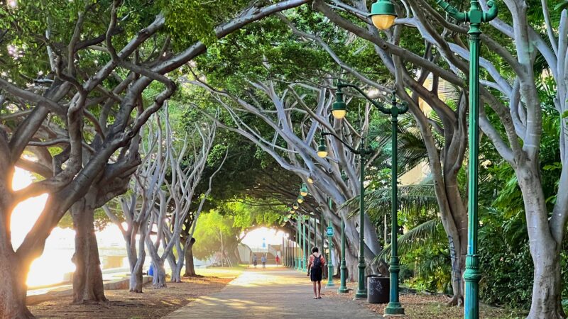 Ala Wai Promenade - Honolulu, HI