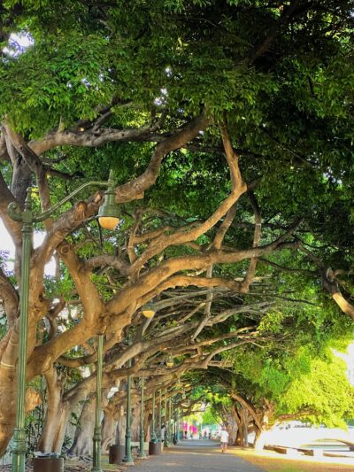 Ala Wai Promenade - Honolulu, HI