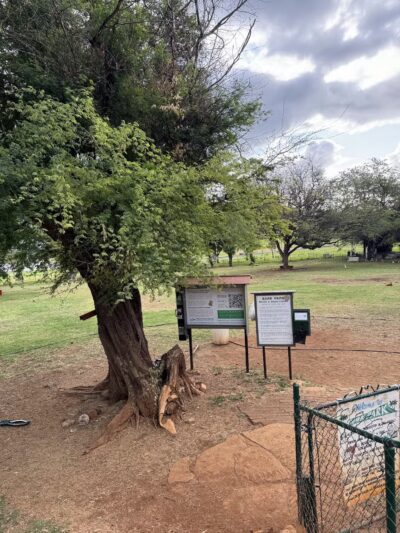 Diamond Head Bark Park - Honolulu, HI