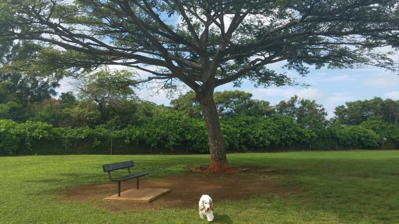 Elaine Dobashi Dog Park - Honolulu, HI