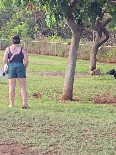 Elaine Dobashi Dog Park - Honolulu, HI