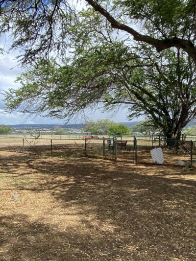Ford Island Dog Park - Honolulu, HI