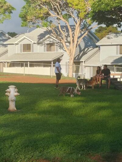 Forest City Dog Park - Honolulu, HI