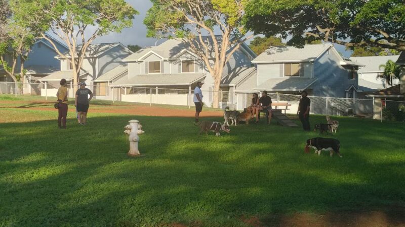 Forest City Dog Park - Honolulu, HI