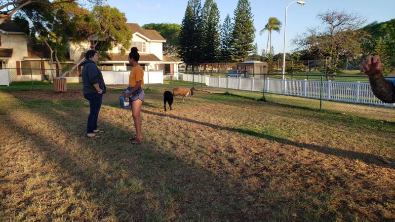 Forest City Dog Park - Honolulu, HI