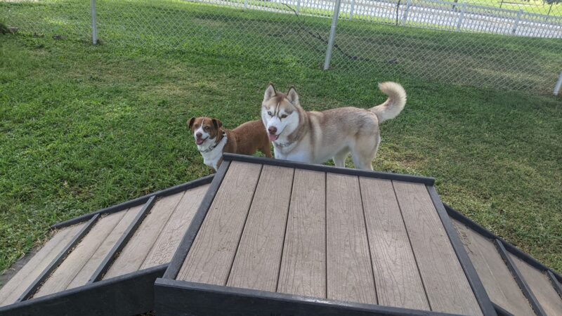 Forest City Dog Park - Honolulu, HI