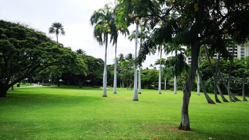 Hobron Park - Honolulu, HI