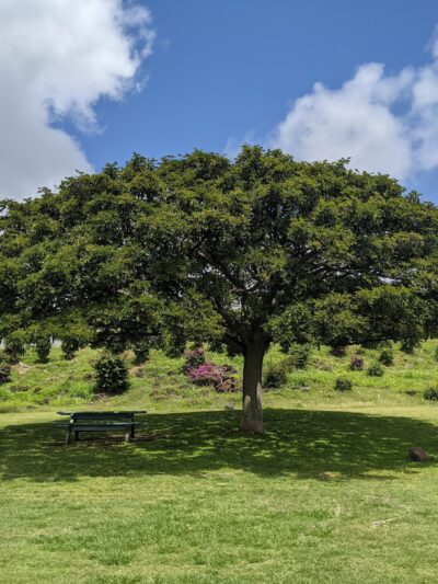 Kāmole Mini Park - Honolulu, HI