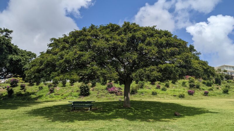 Kāmole Mini Park - Honolulu, HI