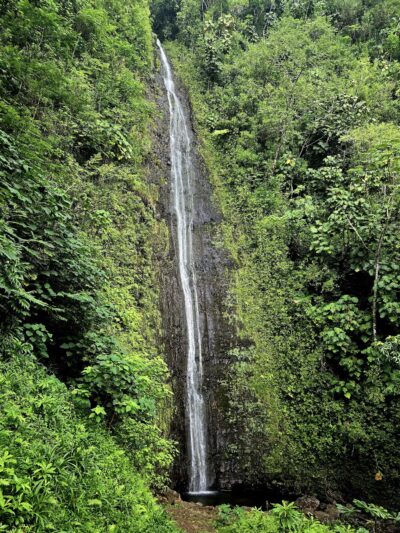Manoa Valley District Park - Honolulu, HI