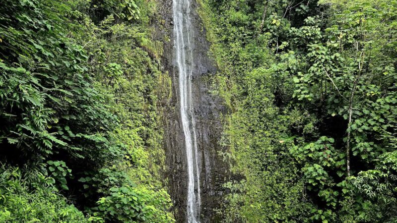 Manoa Valley District Park - Honolulu, HI