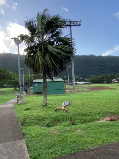 Manoa Valley District Park - Honolulu, HI