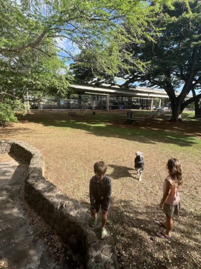 Moanalua Dog Park - Honolulu, HI