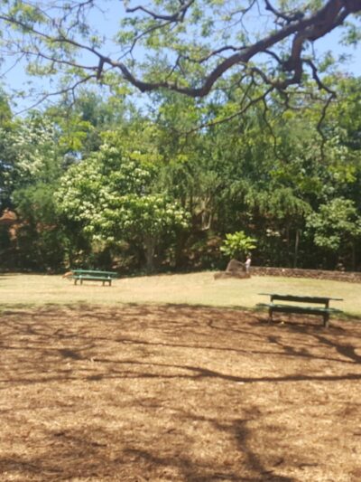 Moanalua Dog Park - Honolulu, HI