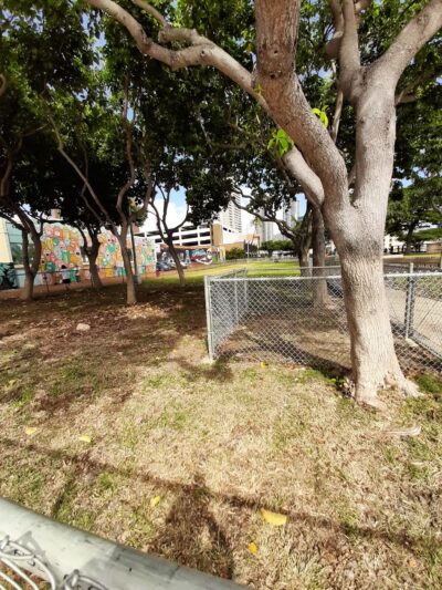Mother Waldron Neighborhood Dog Park - Honolulu, HI