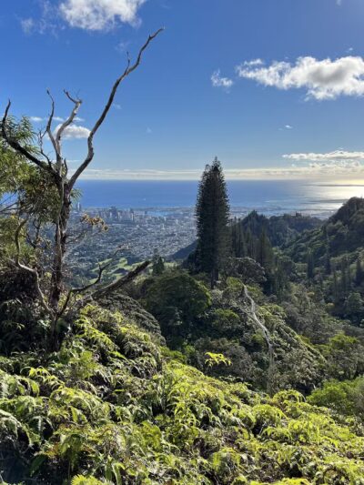 Na Pueo Mini Park - Honolulu, HI