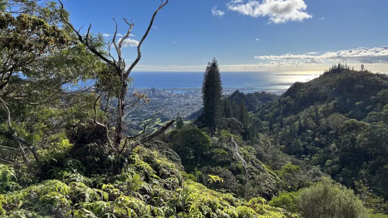 Na Pueo Mini Park - Honolulu, HI