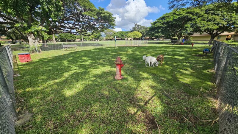 ONC dog park - Honolulu, HI