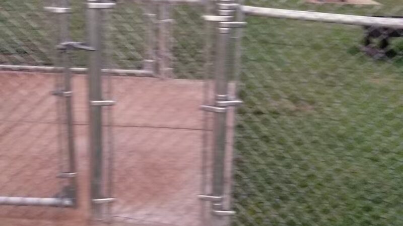 Nemo Dog Park -NavFac - Honolulu, HI