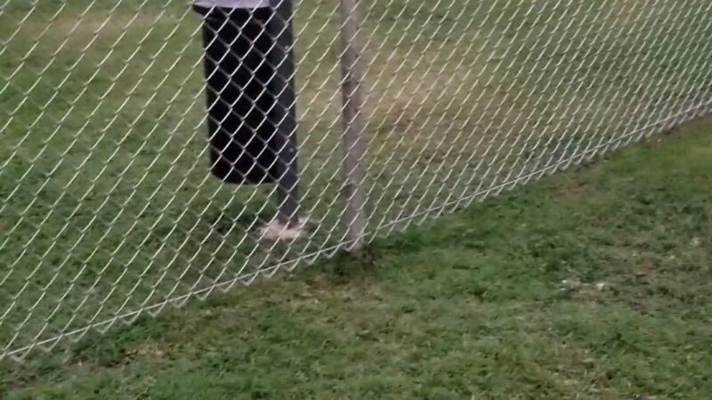 Nemo Dog Park -NavFac - Honolulu, HI