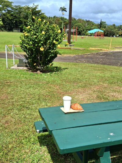 Honomu County Park - Honomu, HI