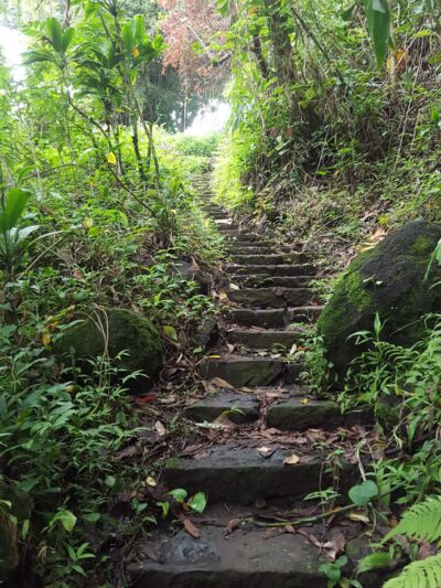 Honomu County Park - Honomu, HI