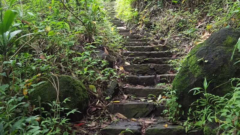 Honomu County Park - Honomu, HI