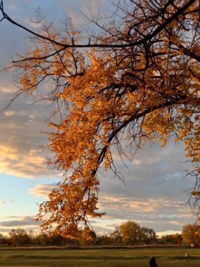 Hooper Landings Park - Hooper, UT