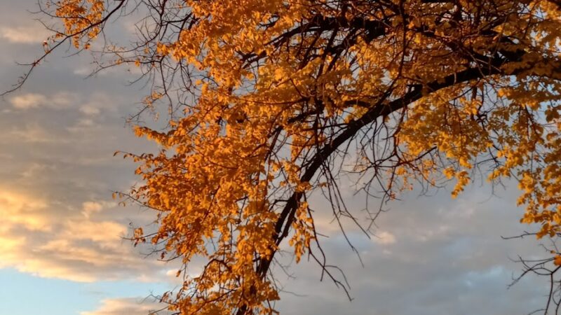 Hooper Landings Park - Hooper, UT