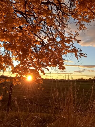 Hooper Landings Park - Hooper, UT