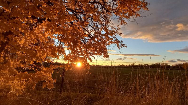 Hooper Landings Park - Hooper, UT