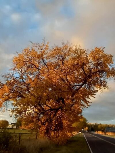 Hooper Landings Park - Hooper, UT