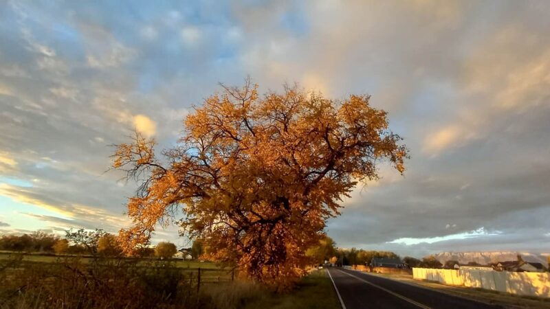 Hooper Landings Park - Hooper, UT